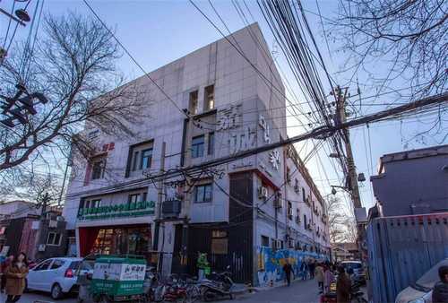 徐汇区花圃绿化养护效果图