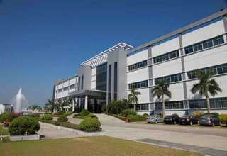 山西山农25小麦种子报价