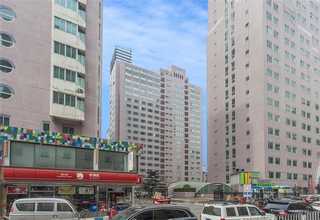 河南锅炉除尘器型号