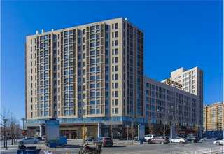 安徽肉类净化机